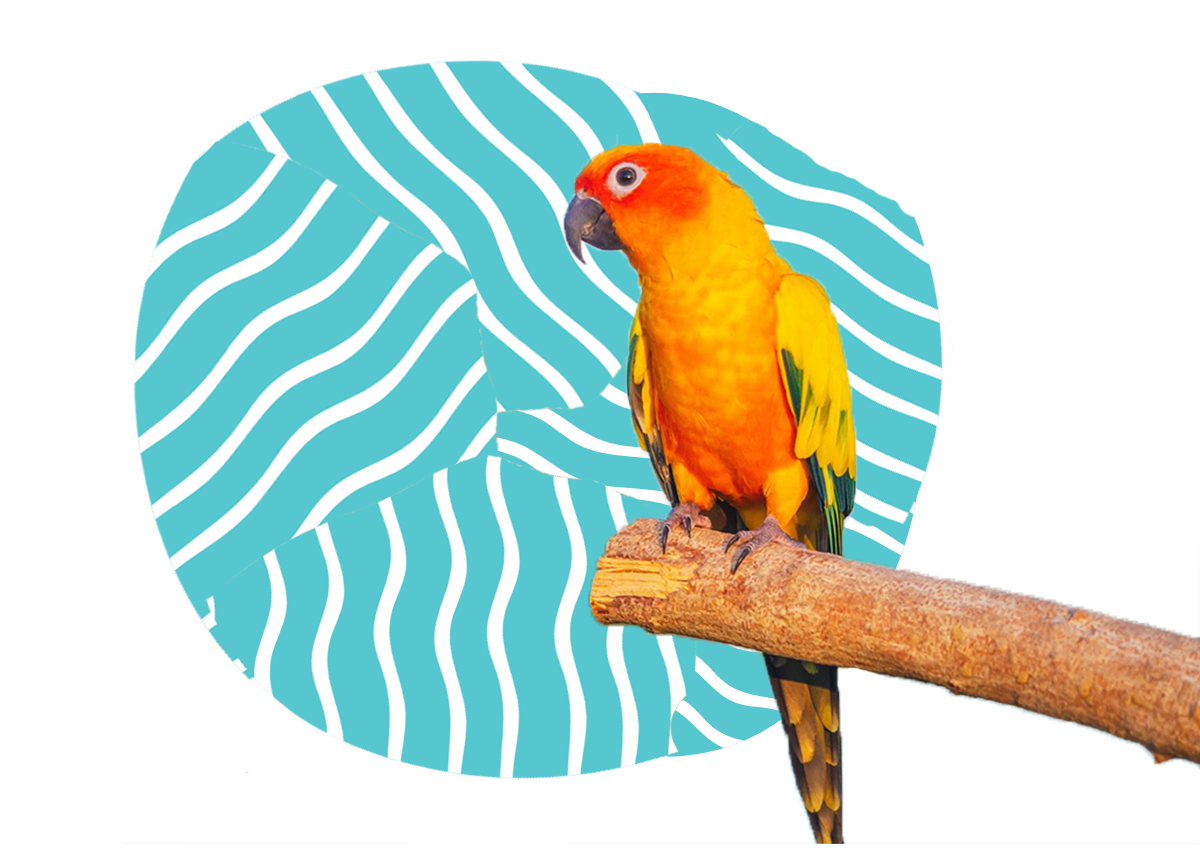 https://sharoncentervethospital.com/wp-content/uploads/2022/09/exotic-pet-banner.png