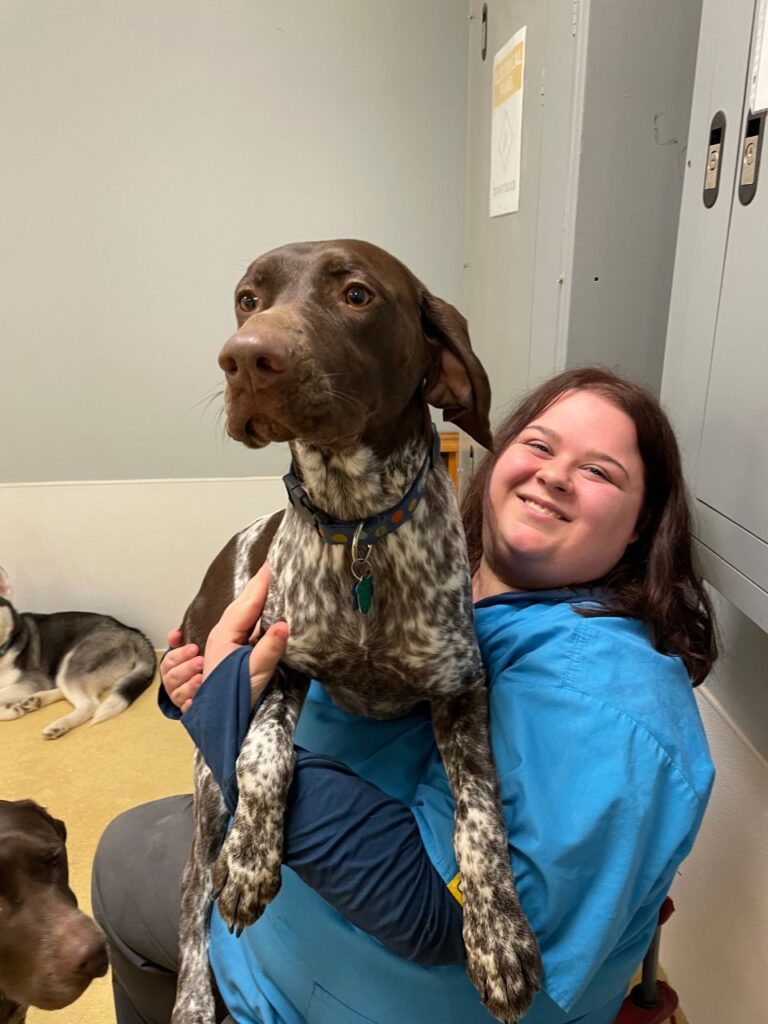 Medina, OH 44256 Veterinarians Sharon Center Veterinary Hospital