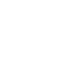 veterinary chiropractic care icon